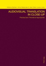 Audiovisual Translation in Close-Up