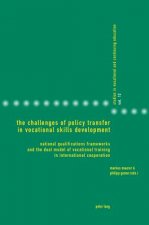 Challenges of Policy Transfer in Vocational Skills Development