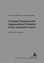 Company Strategies and Organisational Evolution in the Automotive Sector