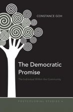 Democratic Promise