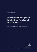 Economic Analysis of Public Good Provision in Rural Russia