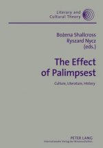 Effect of Palimpsest