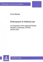 Enforcement of Antitrust Law