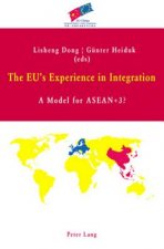 EU's Experience in Integration