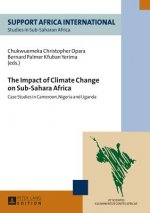 Impact of Climate Change on Sub-Sahara Africa