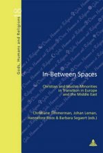 In-Between Spaces