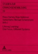 Lifelong Learning: One Focus, Different Systems