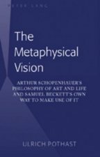 Metaphysical Vision