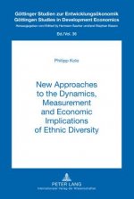 New Approaches to the Dynamics, Measurement and Economic Implications of Ethnic Diversity