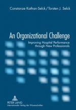 Organizational Challenge