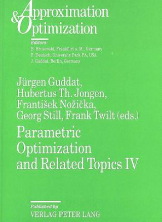 Parametric Optimization and Related Topics