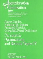 Parametric Optimization and Related Topics