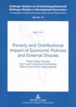 Poverty and Distributional Impact of Economic Policies and External Shocks