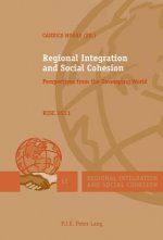 Regional Integration and Social Cohesion