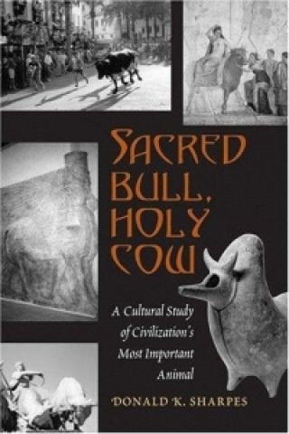 Sacred Bull, Holy Cow