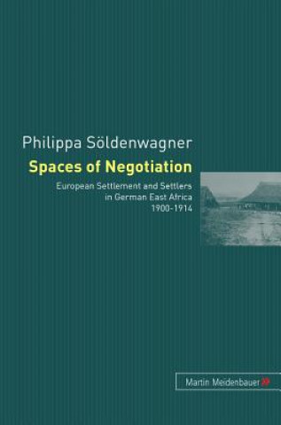 Spaces of Negotiation