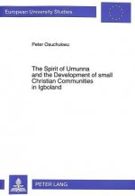 Spirit of Umunna and the Development of Small Christian Communities in Igboland