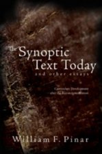 Synoptic Text Today and Other Essays