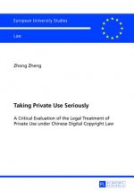 Taking Private Use Seriously