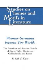 Weimar Germany Between Two Worlds