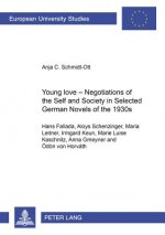 Young Love - Negotiations of the Self and Society in Selected German Novels of the 1930s