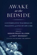Awake at the Bedside