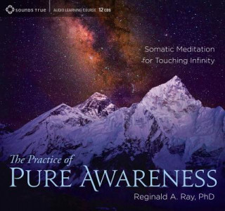 Practice of Pure Awareness