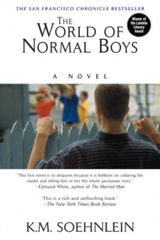 World of Normal Boys