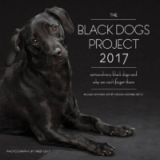 Black Dogs Project 2017