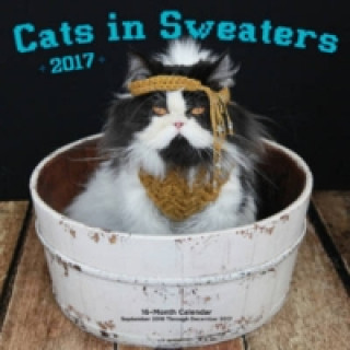 Cats in Sweaters 2017