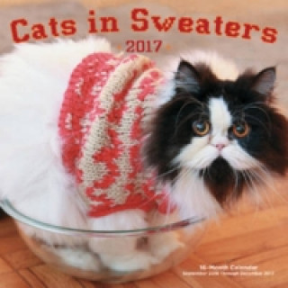 Cats in Sweaters Mini 2017