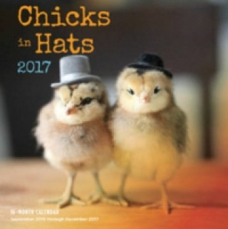 Chicks in Hats