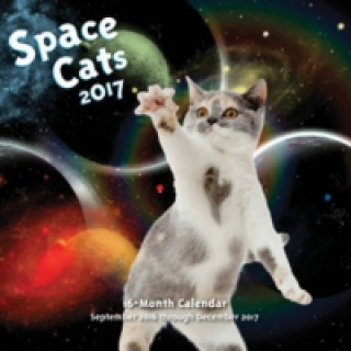 Space Cats 2017