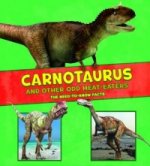 Dinosaur Fact Dig Pack B of 4