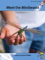 MEET THE MINIBEASTS