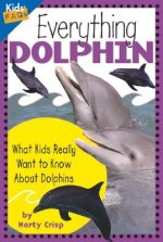 Everything Dolphin