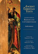 Commentaries on Romans and 1-2 Cori