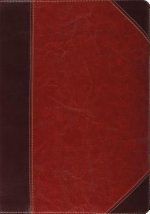 ESV Study Bible