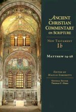 Matthew 14-28