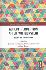 Aspect Perception after Wittgenstein