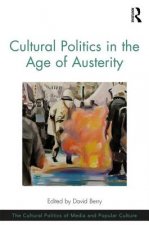Cultural Politics in the Age of Austerity