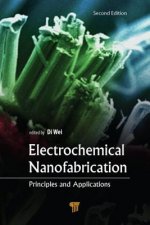 Electrochemical Nanofabrication