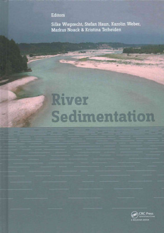 River Sedimentation