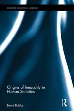 Origins of Inequality in Human Societies