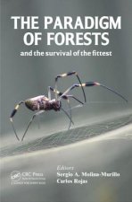 Paradigm of Forests and the Survival of the Fittest