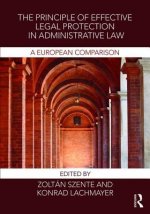 Principle of Effective Legal Protection in Administrative