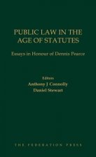 Public Law in the Age of Statutes