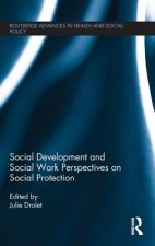 Social Development and Social Work Perspectives on Social Protection