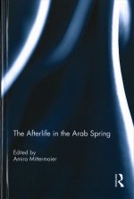 Afterlife in the Arab Spring