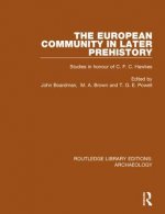 European Community in Later Prehistory